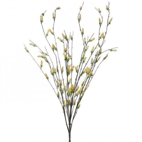 Flowering Willow Bush - 3 Options