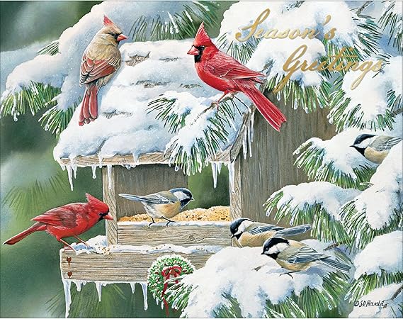 Cardinal and chickadee birds around a snowy bird feeder with 'Season's greetings' text.