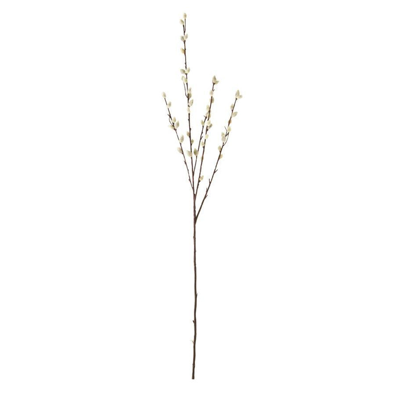 Gray Pussy Willow Stem