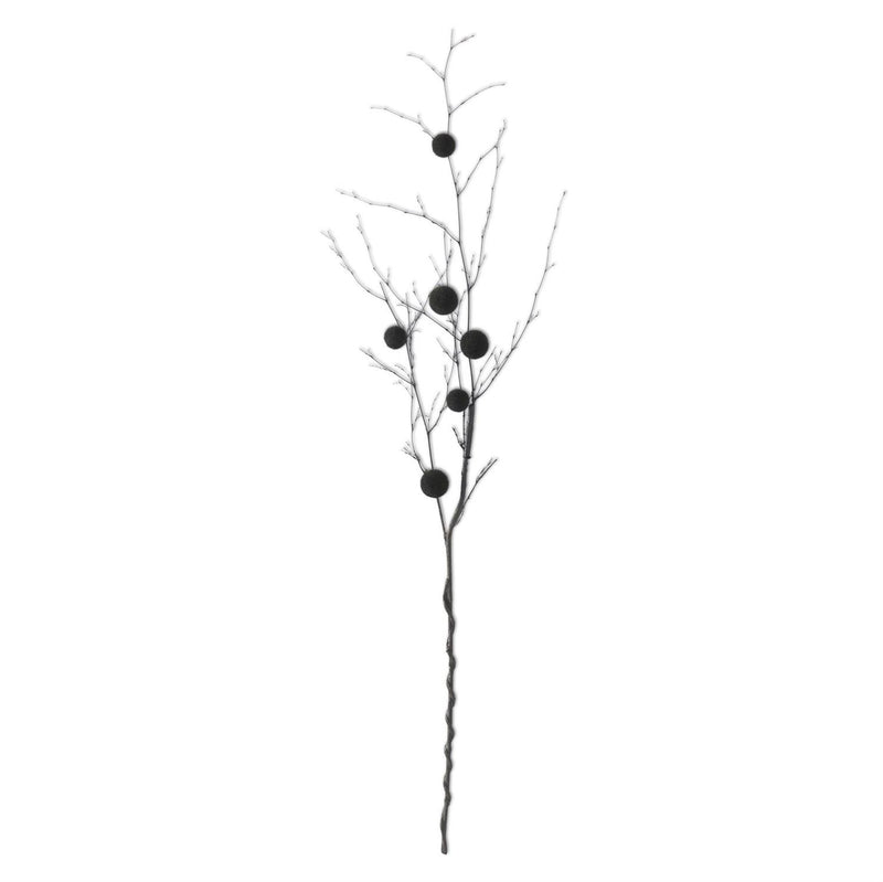 Black Ball Branch