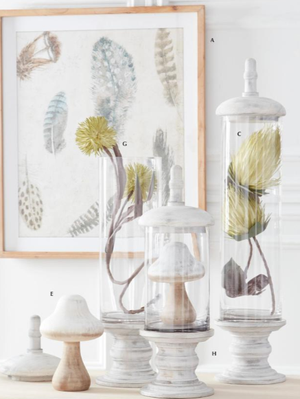 Decorative items including a framed botanical print, glass vases with plants, and wooden mushroom on a white surface.