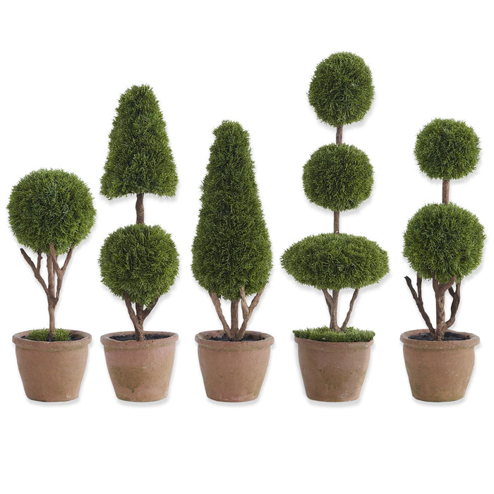 Cypress Topiary Trees