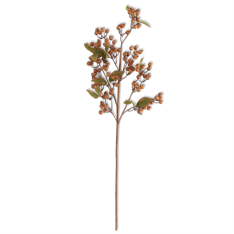 Brown Berry Spray with Green Leaves