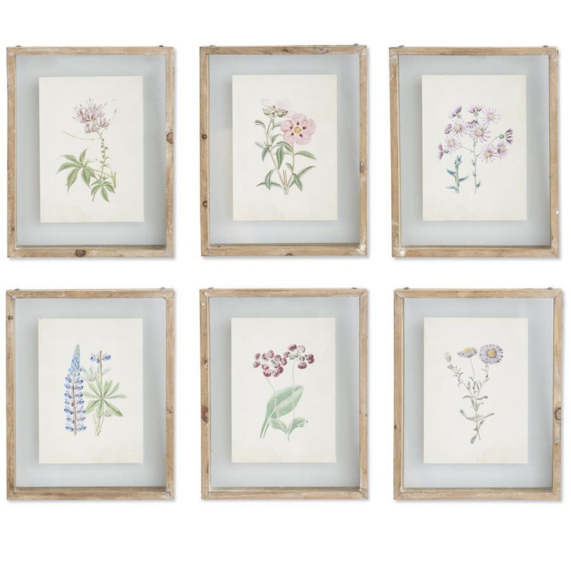 Botanical Prints in Shadow Box Wood Frames