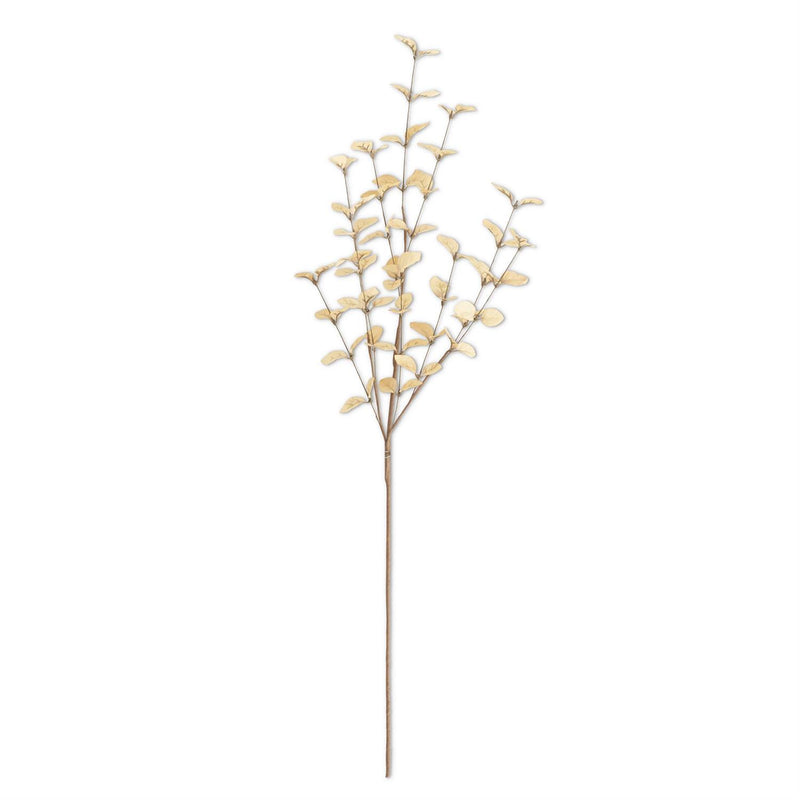 Beige Eucalyptus Stem