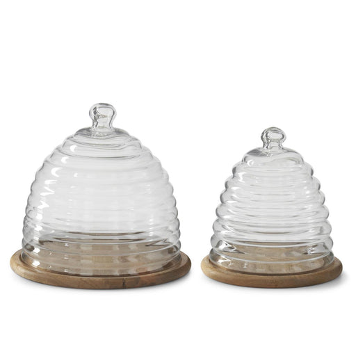 Two glass domes with wooden bases on a white background
