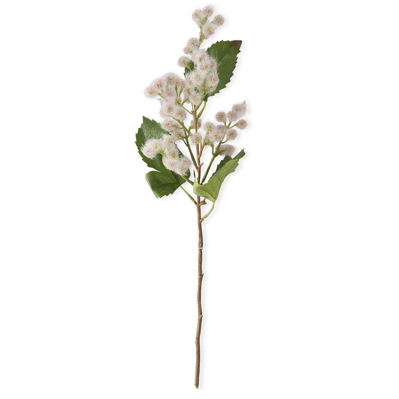 Meadowsweet Stems