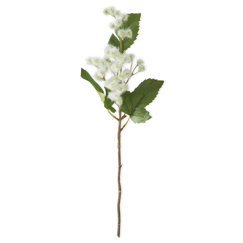 Meadowsweet Stems