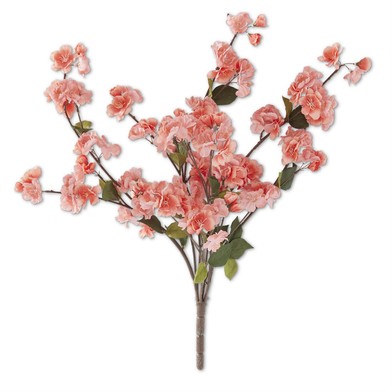 Coral Peach Blossom Bush