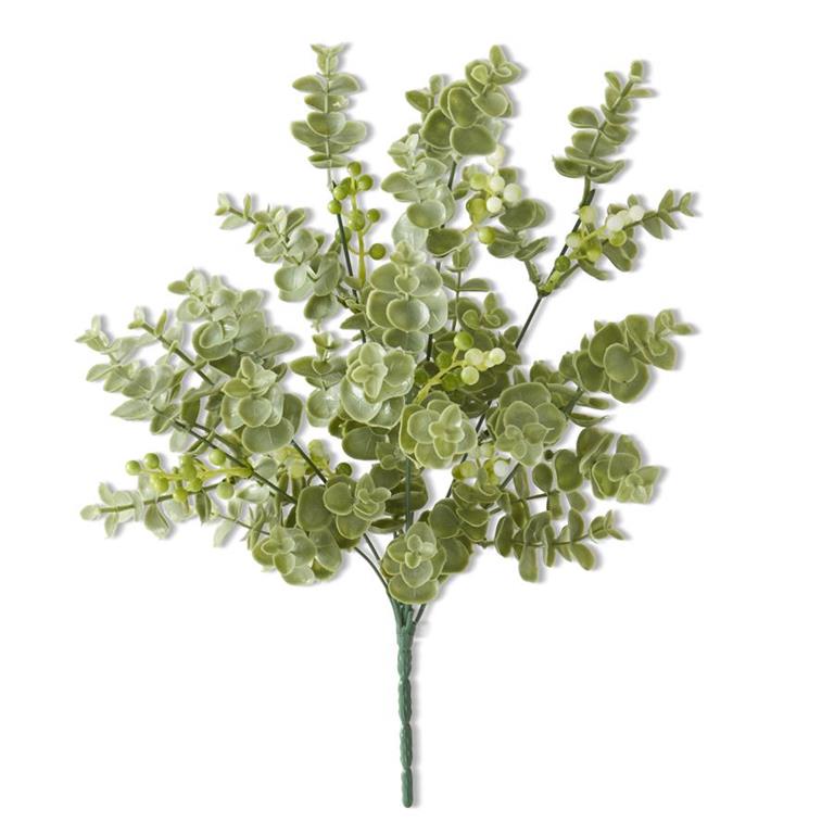 Eucalyptus Bush with White Berries