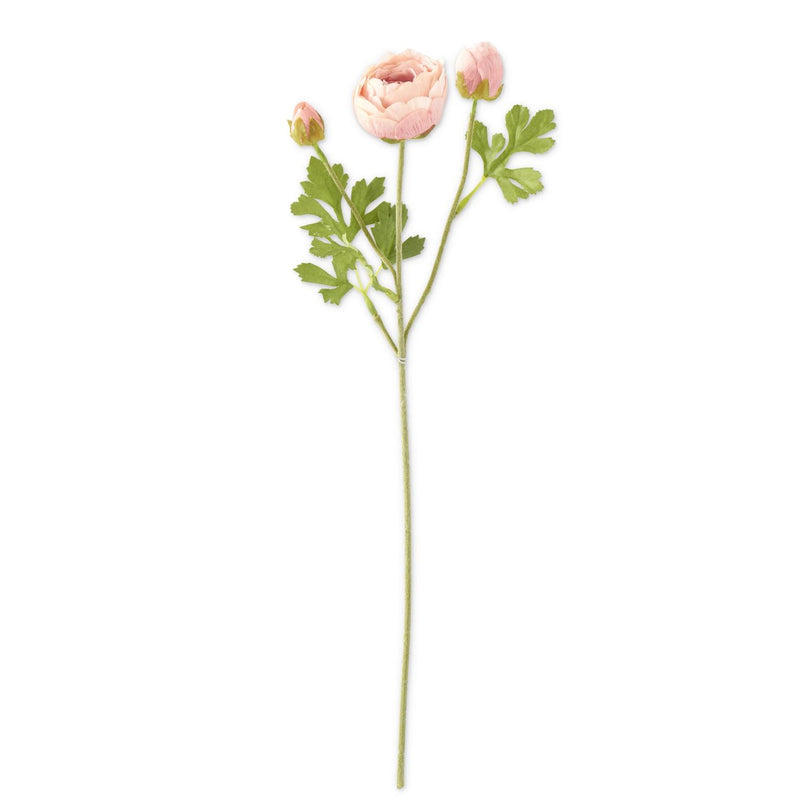 Real Touch 3 Head Ranunculus Stem - 2 Colors
