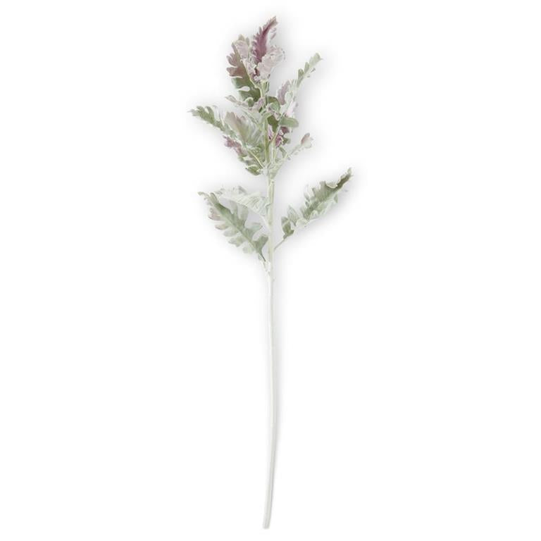 Soft Green w/Purple Tips Dusty Miller Stem