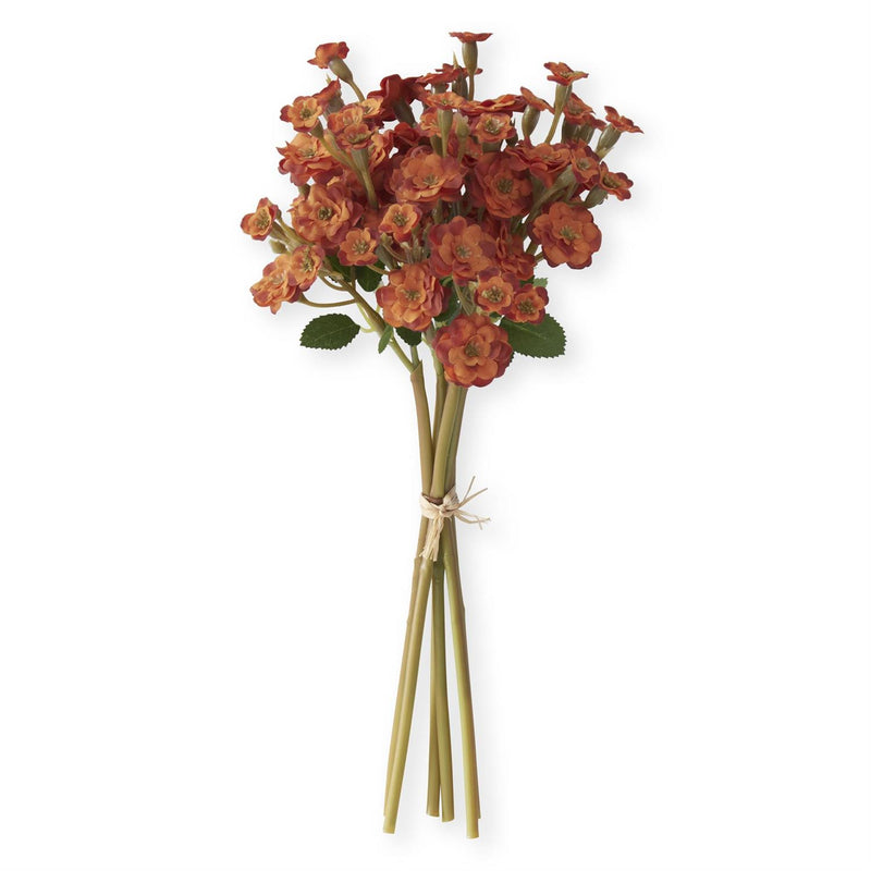 Primrose Bundles