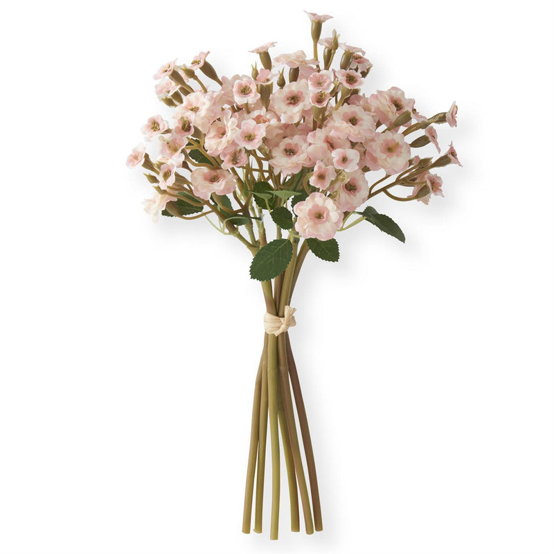 Primrose Bundles