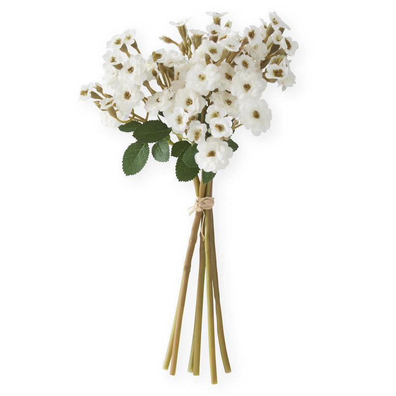 Primrose Bundles
