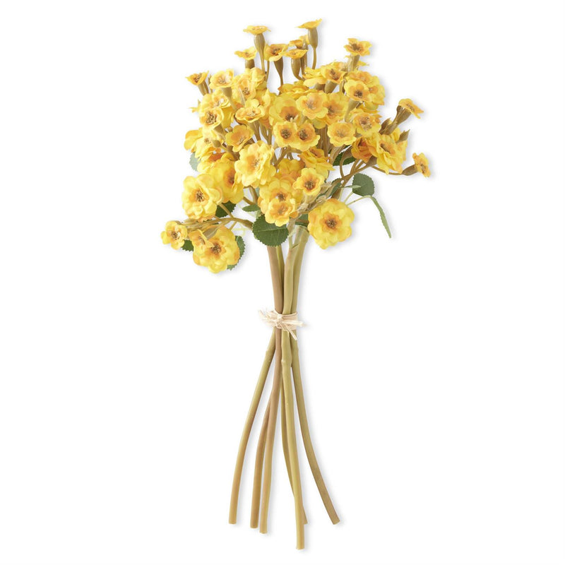 Primrose Bundles