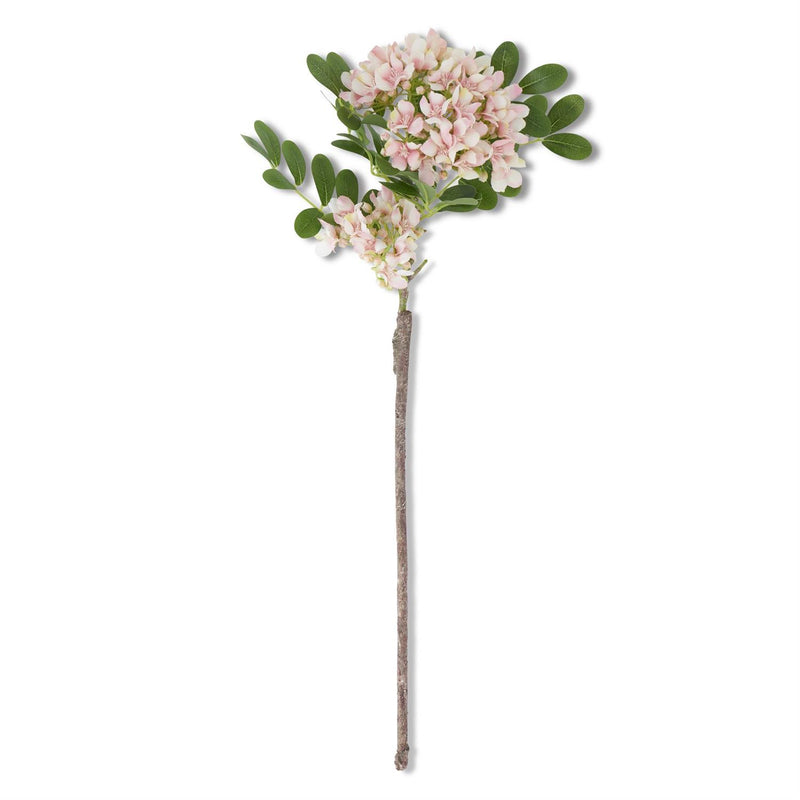 Pink Mountain Laurel Stem