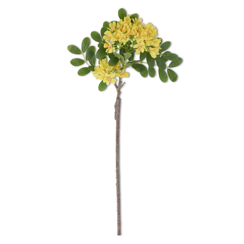 Yellow Mountain Laurel Stem