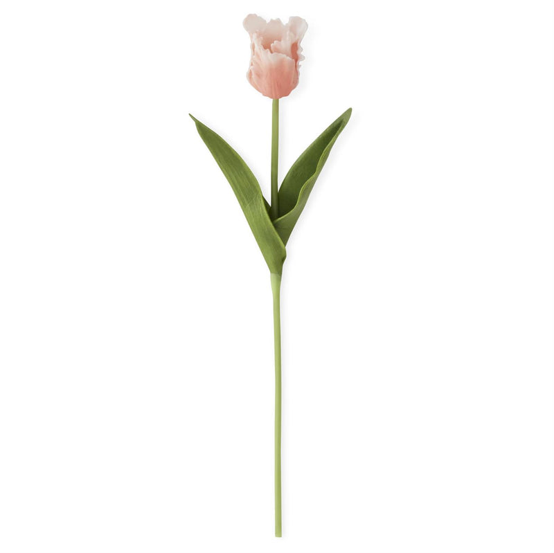 Real Touch Parrot Tulips - 6 Colors