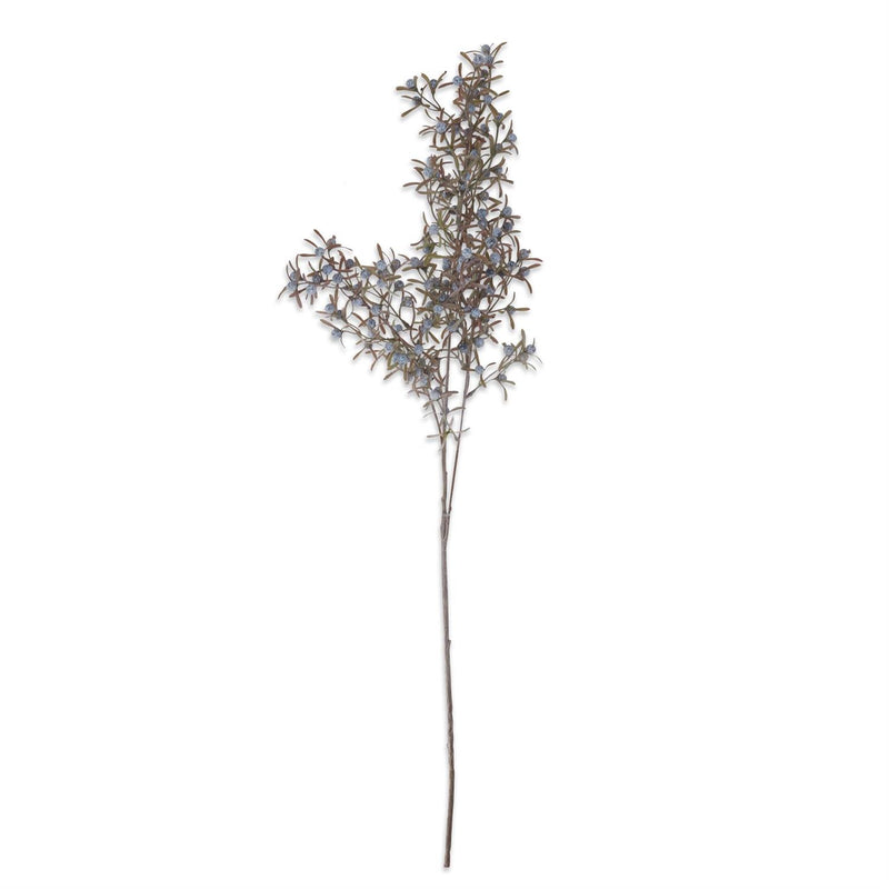 Blue Berry Spray