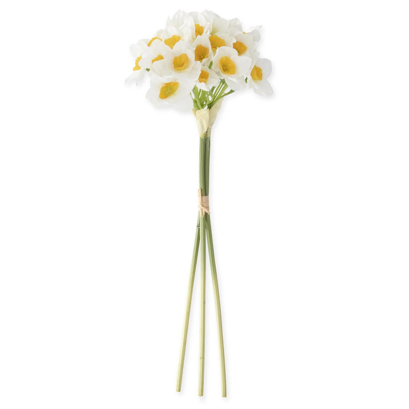 White Daffodil Bundle