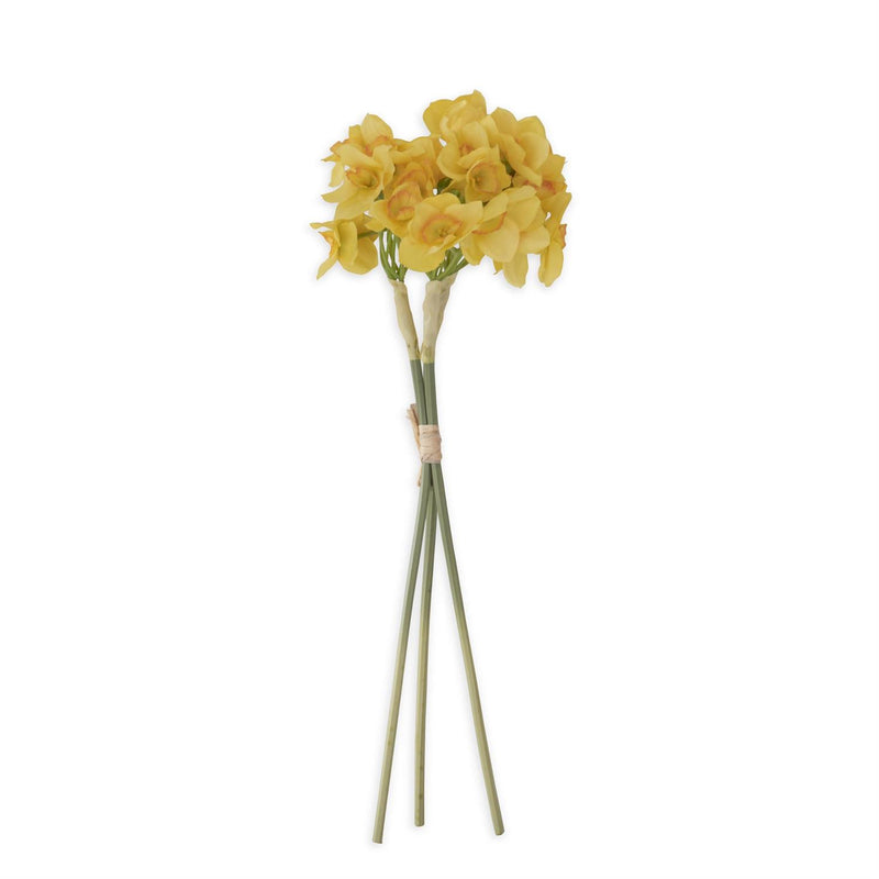 Yellow Daffodil Bundle