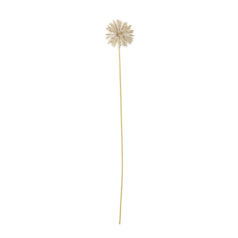 Dandelion Stem