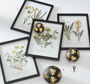 Framed botanical prints with decorative black and gold eggs on a white background