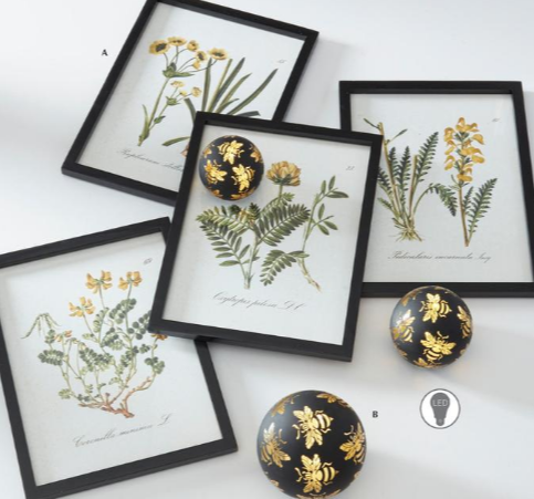 Framed botanical prints with decorative black and gold eggs on a white background