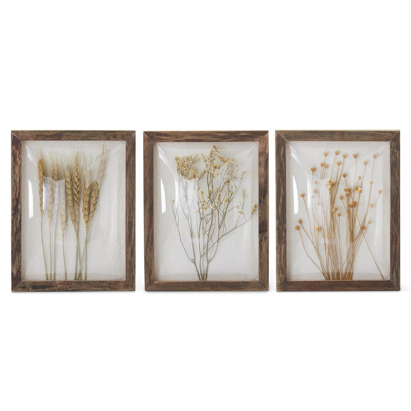 Dome Front Dried Floral Wall Art