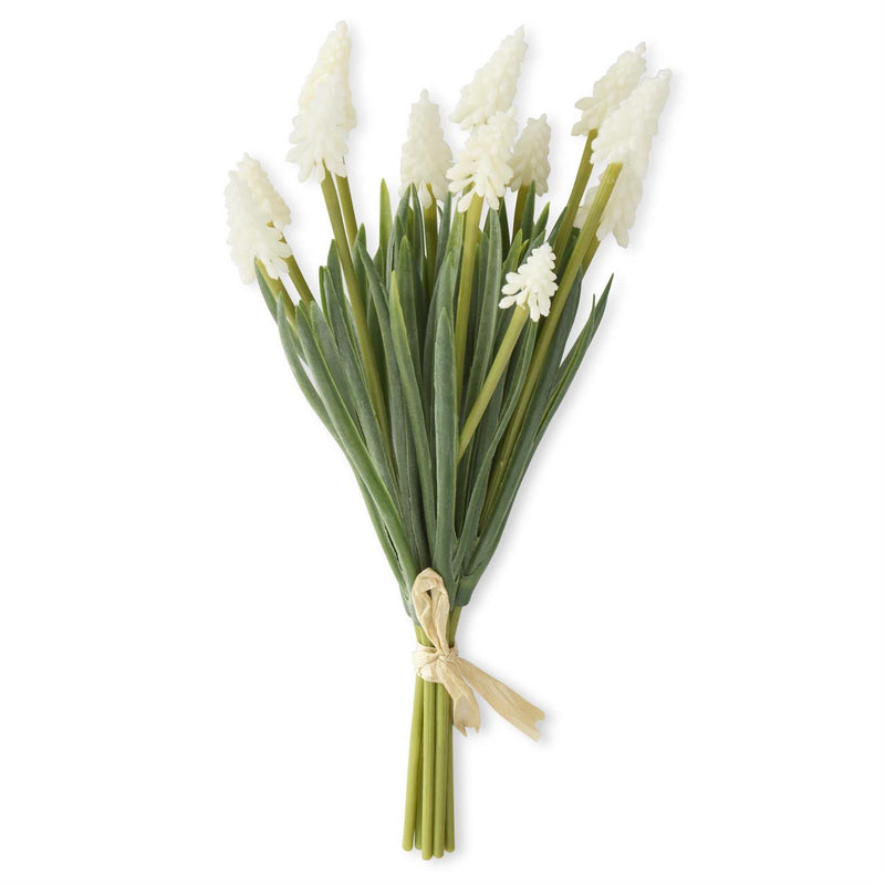 Grape Hyacinth Bundle