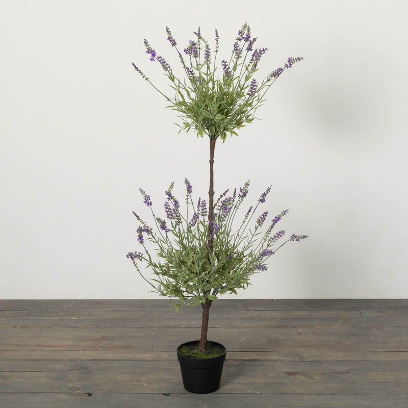 Double Lavender Topiary Bush