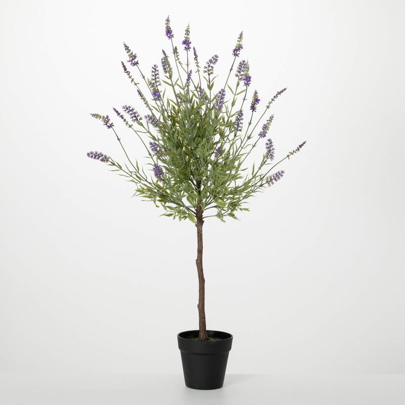 Lavender Topiary Bush
