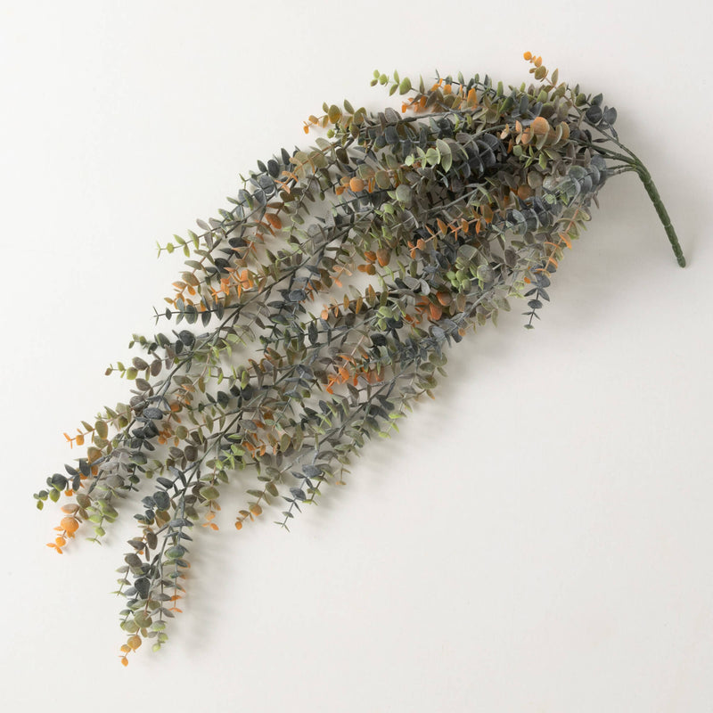 Hanging Eucalyptus Bush