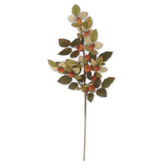 Fall Orange Berry Stem