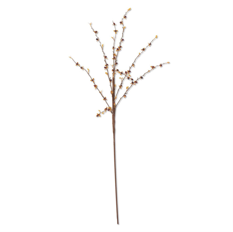 Dark Orange Bittersweet Stem