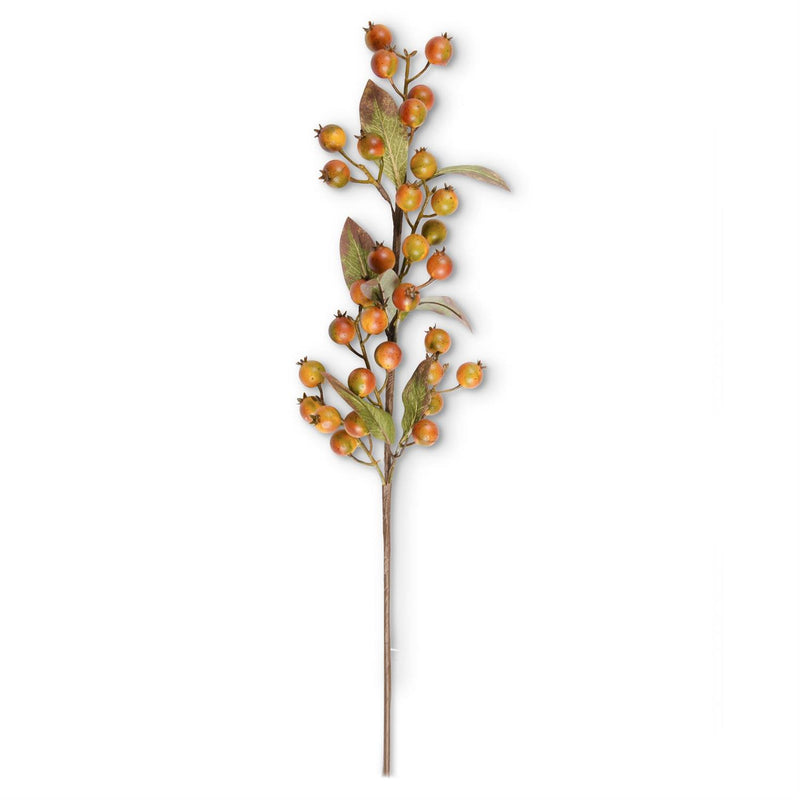 Orange with Green Rosehip Stem