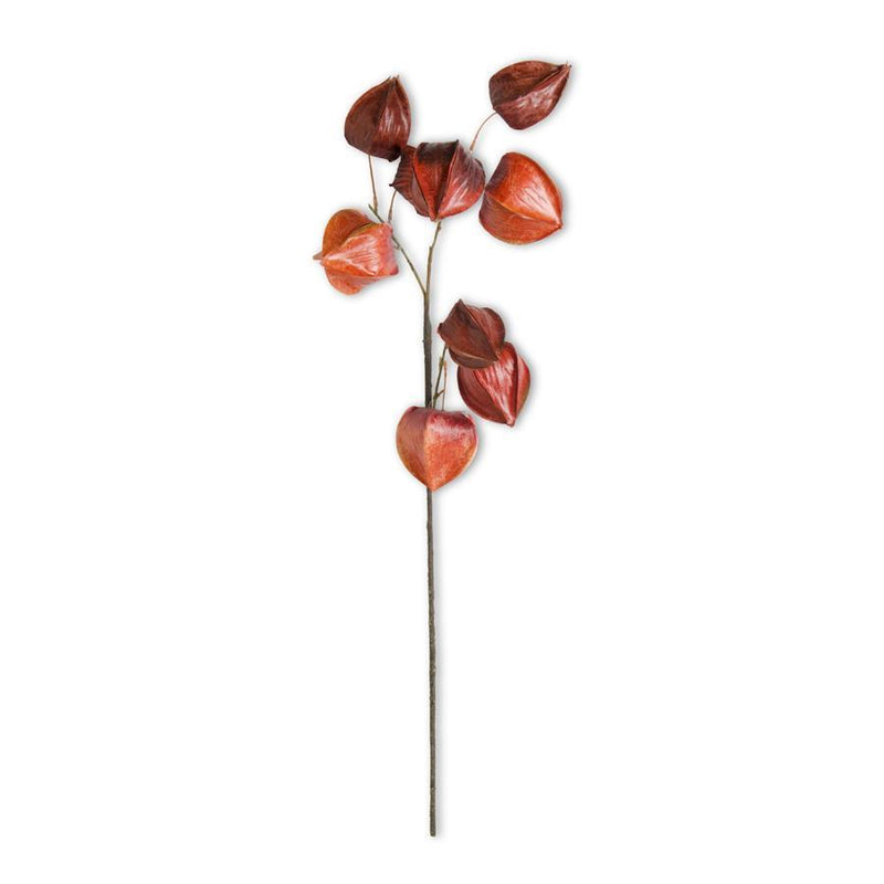 Orange and Red Chinese Lantern Spray