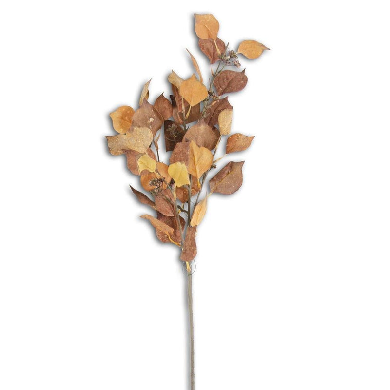 Mustard & Orange Cork Textured Silver Dollar Eucalyptus Spray