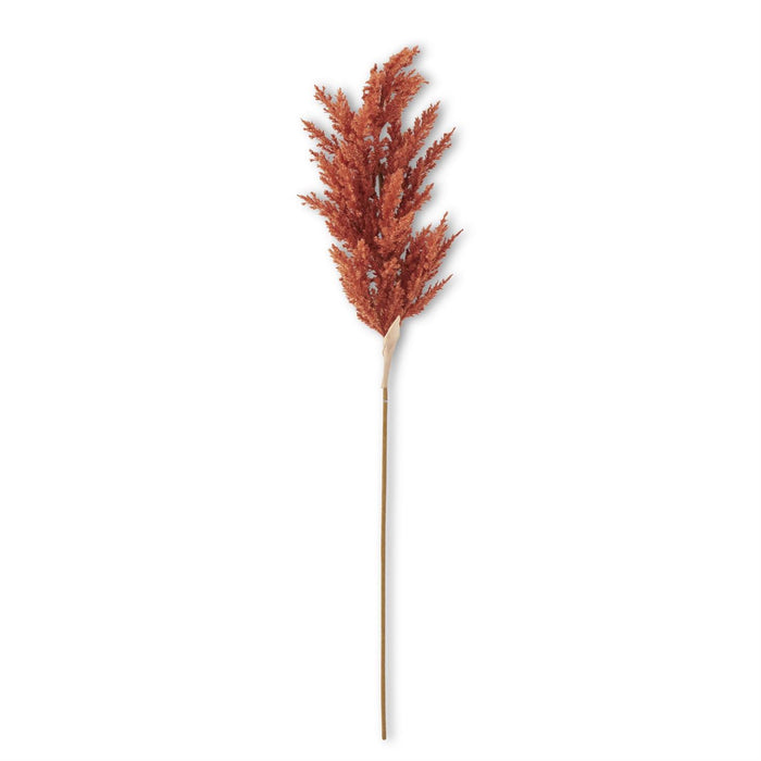 Rust Sorghum Grass Stem