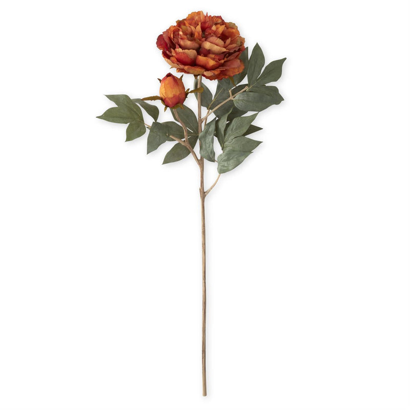 Orange Faux Dried Peony Stem