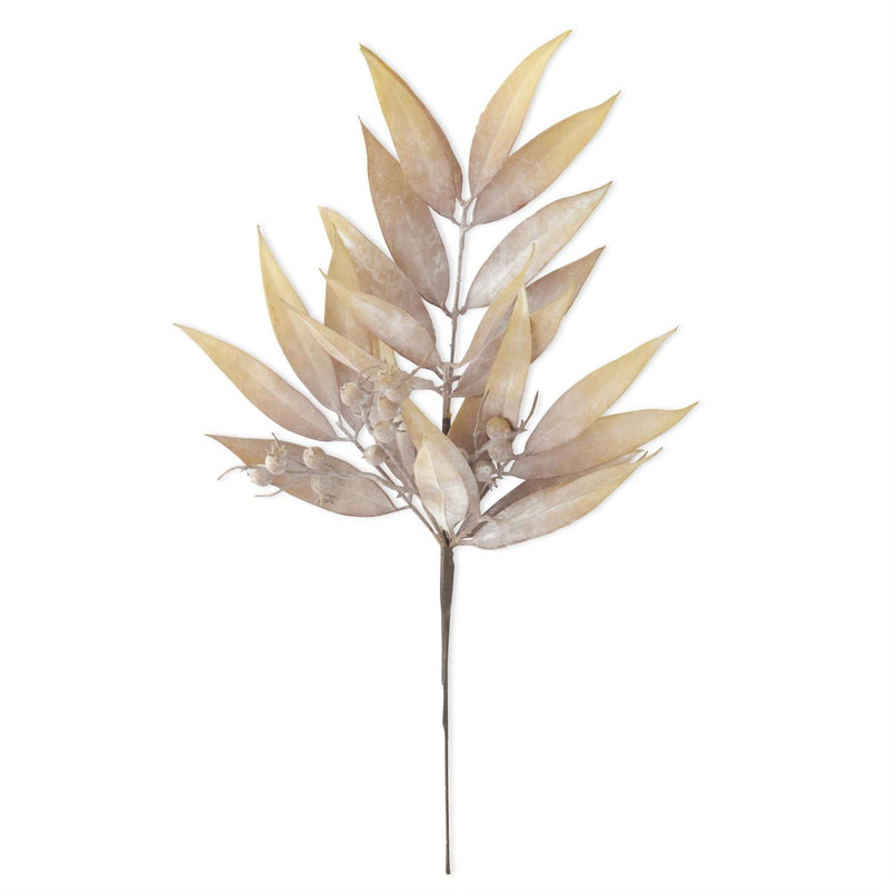 Tan Eucalyptus and Rosehip Stem