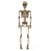 A gold-colored posable skeleton figure standing upright against a white background.