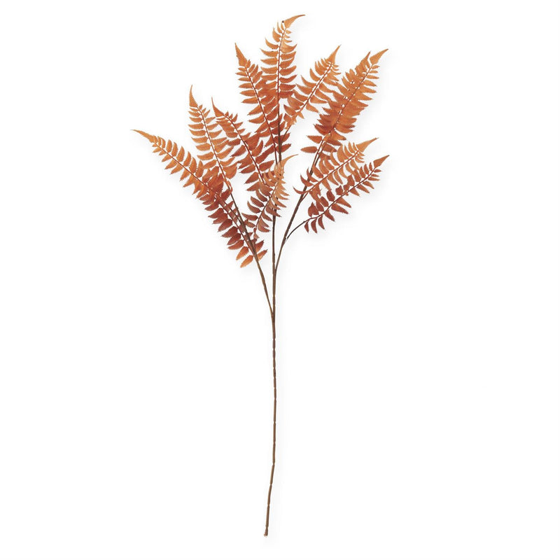 Orange with Brown Speckles Lady Fern Spray