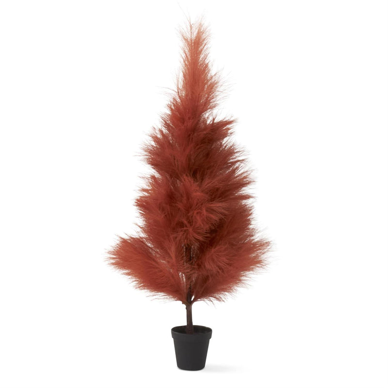 Rust Pampas Grass Tree