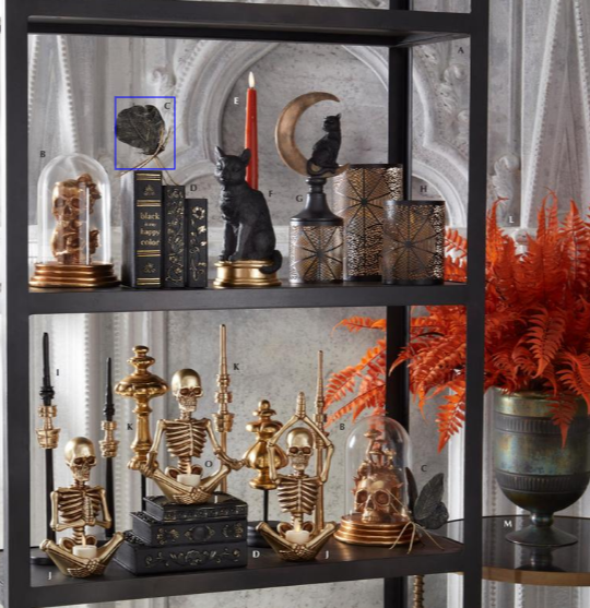 A gothic-style black shelving unit decorated with various Halloween and gothic ornaments, including skeleton figurines, glass domes, black books, a black cat statue, and a dried leaf in a glass jar.