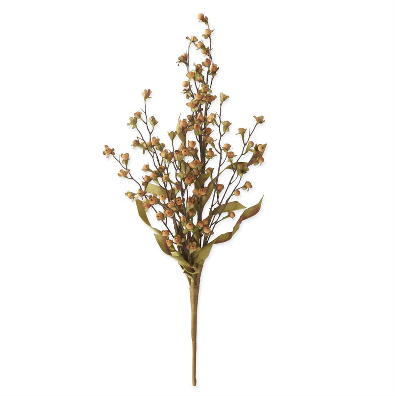 Orange Wood Bead Berry Bush