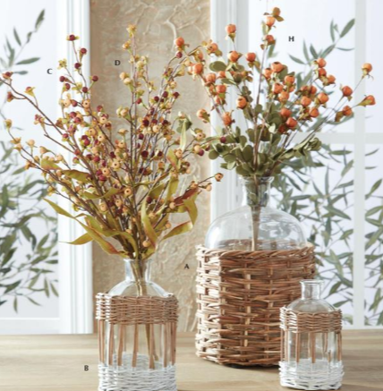 Orange Wood Bead Berry Bush