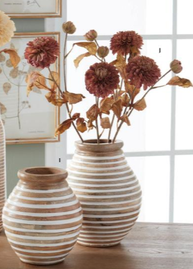 Dahlia Stem