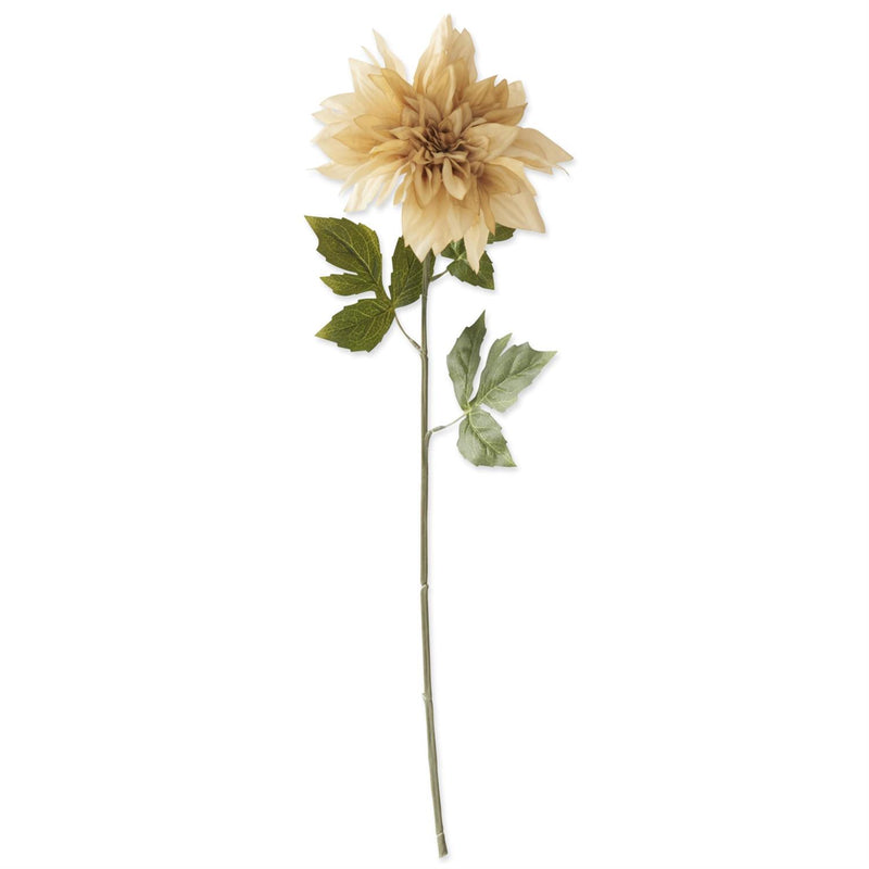 Cream Dahlia Spray